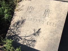 -北京麋鹿生态实验中心