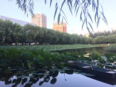-吉林大学(前卫南区)