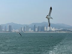 -刘公岛景区