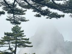 -黄山玉屏楼宾馆餐厅
