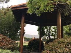 -郑州银基黄帝宫御温泉