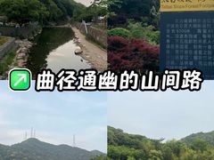 -北仑森林植物园