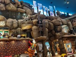 点击看大图 -卡通尼·Safari非洲探索乐园·生日会(金桥国际商业广场店)