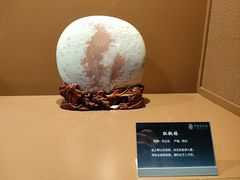 -中华赏石园