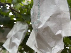 -马陆小张葡萄园农家乐