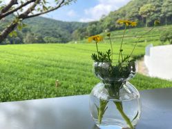 -静博士·养生养颜