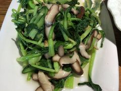 香菇菜秧-明城饭店(万科九都荟店)