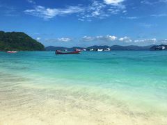 -珊瑚岛