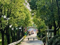 -上海长兴岛郊野公园