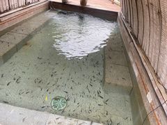 -大千天鹅湾温泉