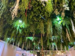 -Husky Go! 哈士奇体验馆·宠物咖啡厅狗咖