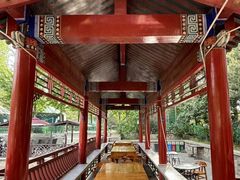 -尚庄度假村·庭台树下·户外烧烤·团建CS·轰趴营地(上庄水库店)