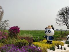 -空港花田景区