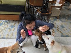 -上海崇明金茂凯悦酒店