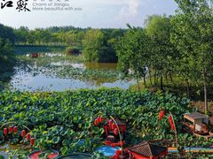 -泗洪洪泽湖湿地景区