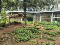 -昆明动物园