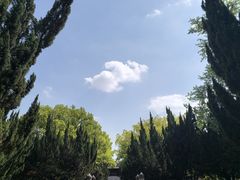 -苏州文庙(姑苏区)