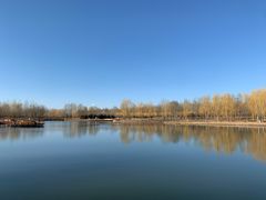 -东郊湿地公园