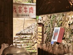 -杨家堂村