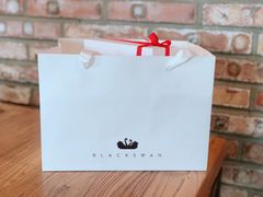 -BLACKSWAN黑天鹅(环球店)