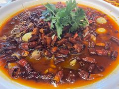-鸡毛店·川菜(李家沱店)