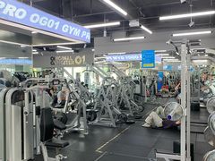 -OG01·24h私教铁馆(中鼎316店)
