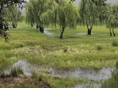 -丽江泸沽湖景区