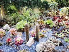 -中国科学院西双版纳热带植物园