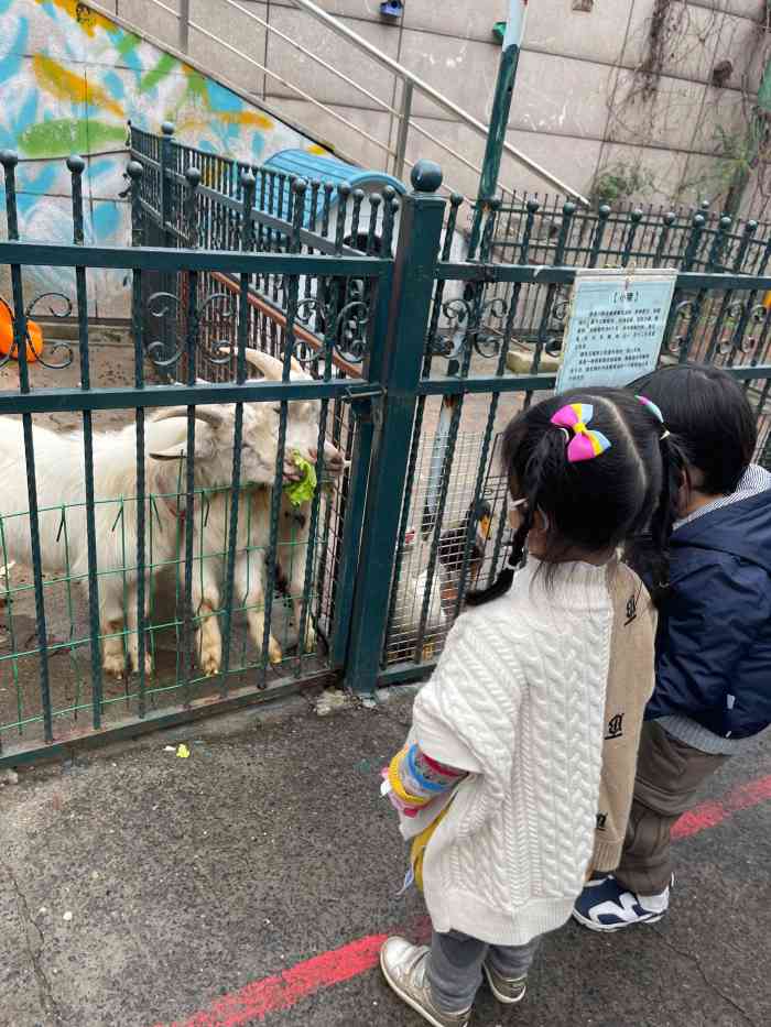 佘山开心农场