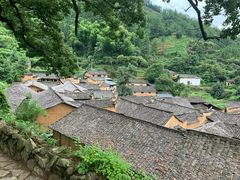 -杨家堂村