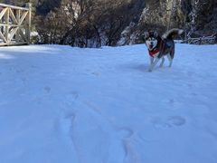 -叠溪松坪沟景区