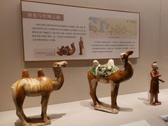 -深圳博物馆(古代艺术馆)