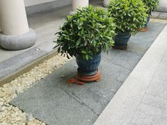 -深业半汤御泉庄温泉