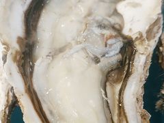 -山海经·海边人家 海鲜新青岛菜(扬州路店)