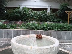 -山湖温泉