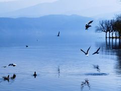 -西昌邛海湿地