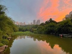 -龙头寺公园