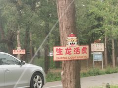 -秦皇岛野生动物园
