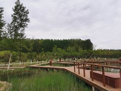 -东郊湿地公园