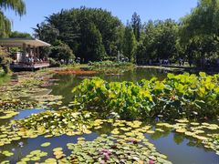 -国家植物园南园