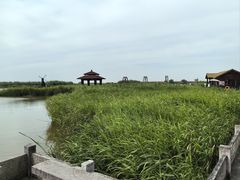 -宁波杭州湾国家湿地公园