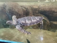 -福州罗源湾海洋世界旅游区