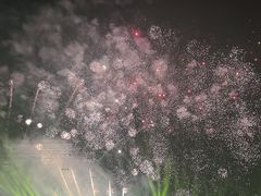 -花博汇(知音花月夜)