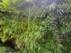 -海口火山口国家地质公园