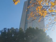 -无锡君来洲际酒店