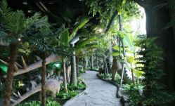 -恐龙探索乐园(磁器口店)