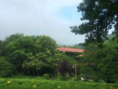 -中国茶叶博物馆(双峰馆区)