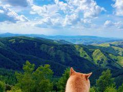 -苏木山森林公园