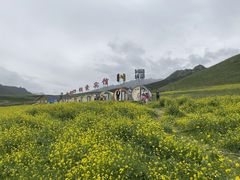 -扁都口生态休闲旅游区