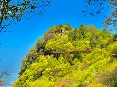 -少华山国家森林公园